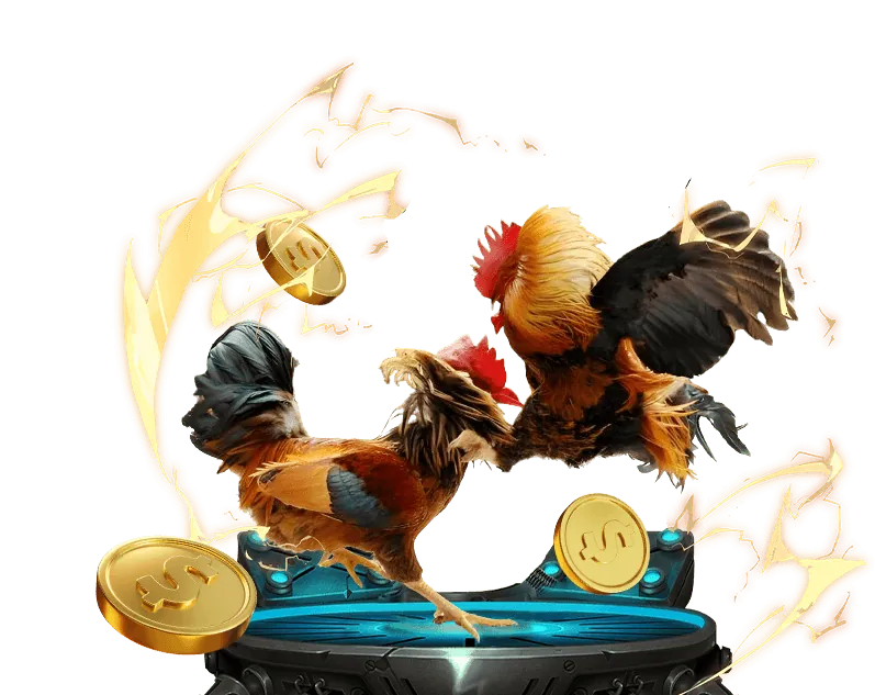 Luật đá gà